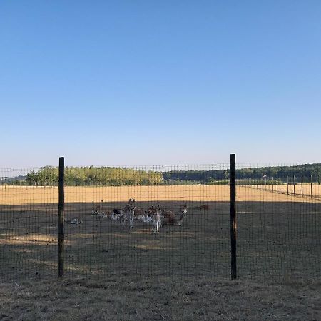 Lemen Huis Houwaart Tielt Esterno foto