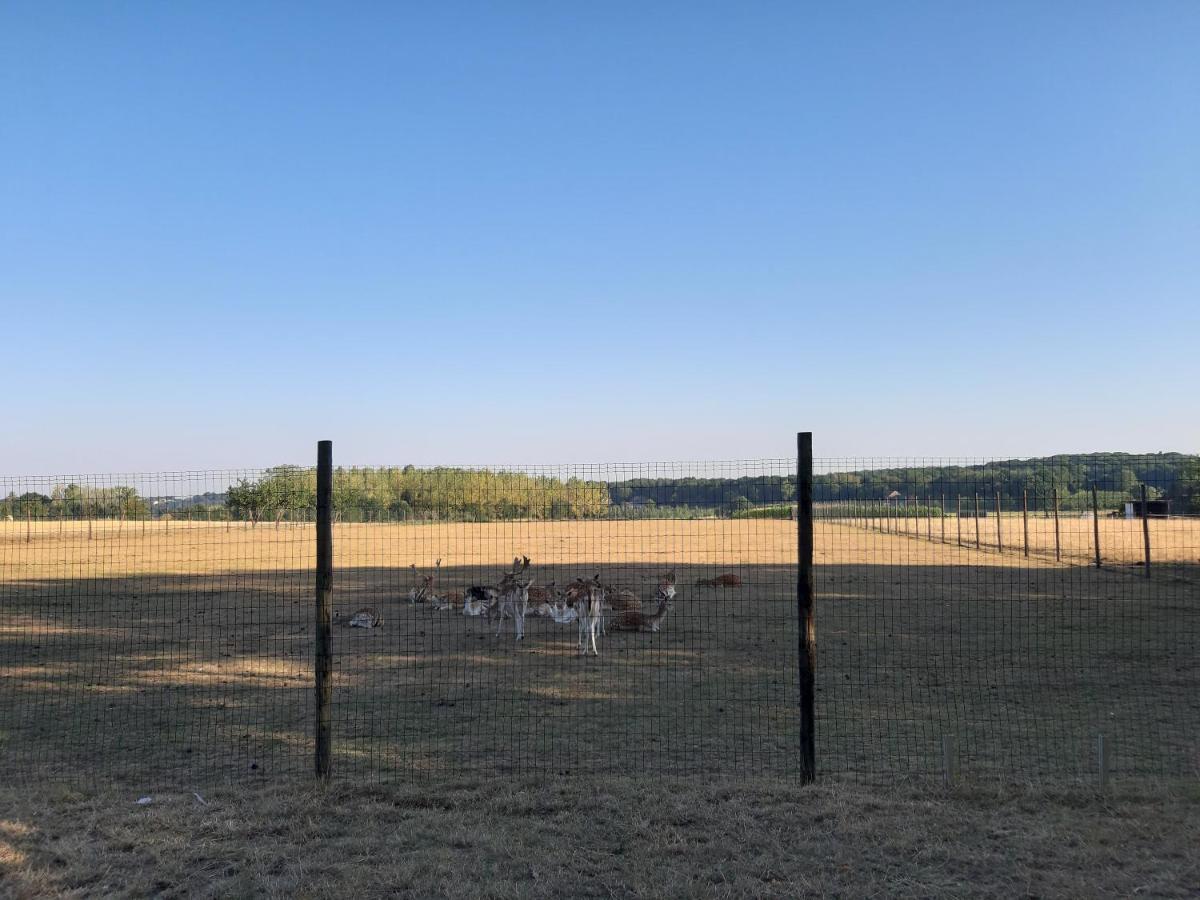 Lemen Huis Houwaart Tielt Esterno foto
