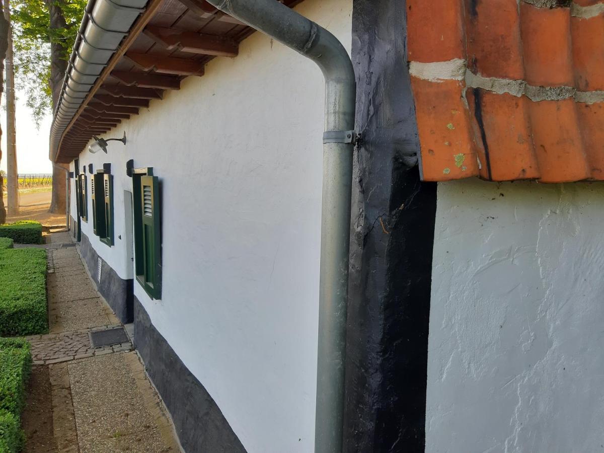 Lemen Huis Houwaart Tielt Esterno foto